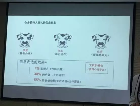 修齐礼仪新城控股第一期接待员礼仪培训