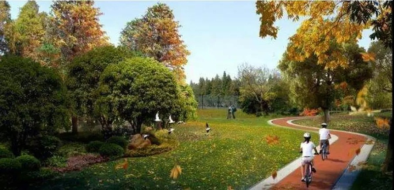 微信图片_20200312110819