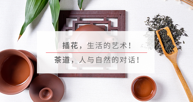 淑女礼仪培训班